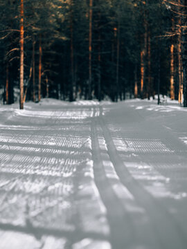 Freshly groomed cross-country ski trail through a snow-covered pine forest in northern Sweden. Peaceful Nordic winter landscape with long shadows and pristine snow.
