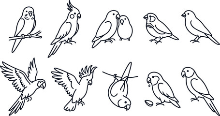 Parrot and Pet Bird Line Art Collection Featuring Budgerigar Cockatiel Lovebird Parakeet and Flying Avian Outline Illustrations for Animal Design © MstSuborna