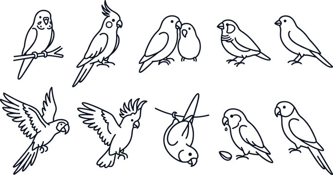 Parrot and Pet Bird Line Art Collection Featuring Budgerigar Cockatiel Lovebird Parakeet and Flying Avian Outline Illustrations for Animal Design
