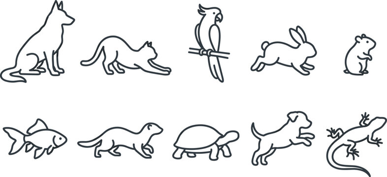 Pet and Small Animal Line Art Collection Featuring Dog Cat Parrot Rabbit Hamster Turtle Lizard Fish and Ferret Outline Illustrations
