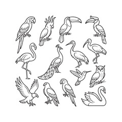 Tropical birds line art collection, exotic avian species vector set, 13 black and white bird icons for coloring and logo design © Majeed