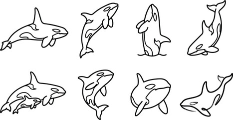 Orca Whale Line Art Collection with Killer Whale Marine Mammal Outline Illustrations in Dynamic Swimming Poses for Ocean Wildlife and Aquarium Design © MstSuborna