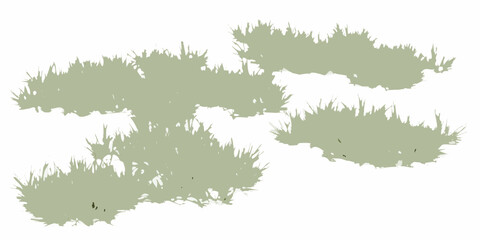 natural scattered grass clusters with varying density on white background vegetation plants botanical green transparent vector illustration pattern design ecology landscape © Apurba