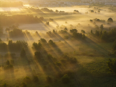 Aerial view of misty fields at sunrise with golden sunbeams filtering through trees in the countryside of Krakow, Lesser Poland Voivode, Poland.