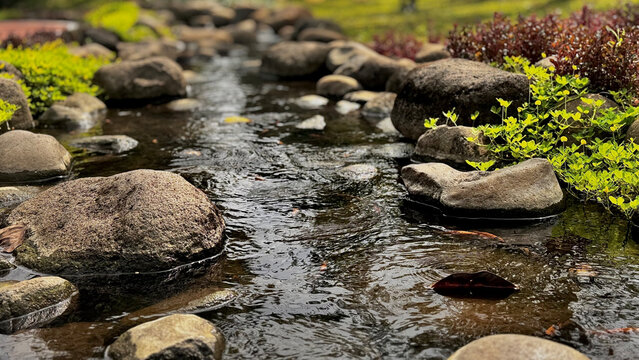 A tranquil artificial stream flows over natural stones, surrounded by small plants. Colorful koi fish swim freely, creating a harmonious garden scene that blends human design with nature. Perfect for 