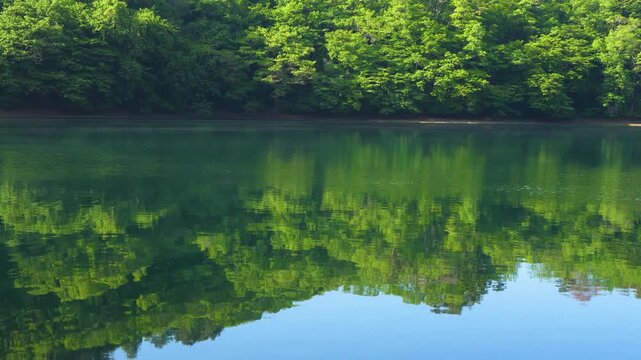 山あいの湖畔に広がる初夏の風景、湖面のせせらぎと新緑が心地よい自然の情景
