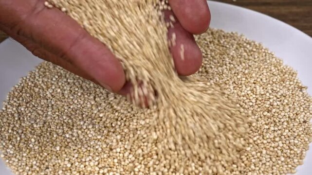 Hand pouring raw quinoa seeds onto a plate in a close up shot