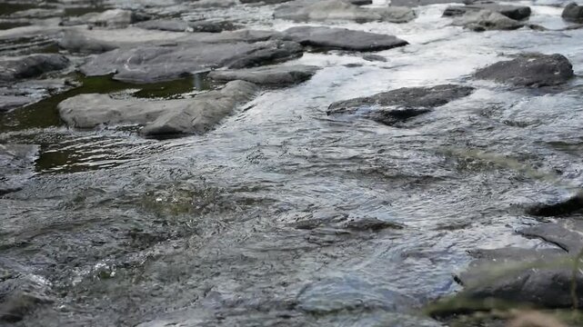 Clear mountain stream water flowing over river rocks