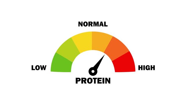 Protein level gauge meter animation: measuring nutritional intake and dietary health status indicator