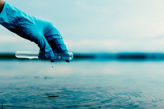 Scientist collecting water sample to monitor pollution and environmental quality.