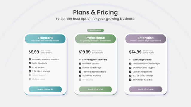 Subscription plan comparison pricing table template design featuring 3 plans for business