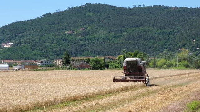 Combine harvester harvesting a golden grain field in rural Italy with green mountains in the background, concept of food production, sustainable agriculture and food security.