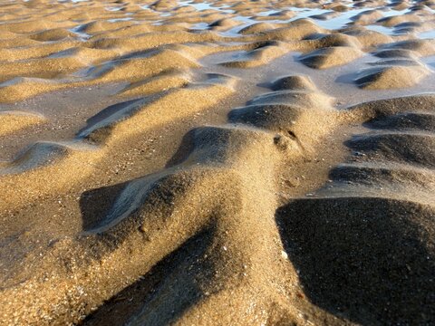 Ripples in the sand on a golden sandy beach - Ondulation du sable sur une plage de sable dor&eacute;