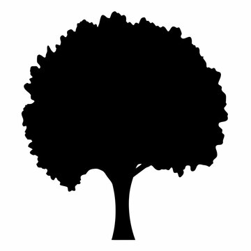Black silhouette tree icon with thick trunk - A bold black silhouette of a full tree with a thick trunk and lush canopy, ideal for icons or minimalist designs.