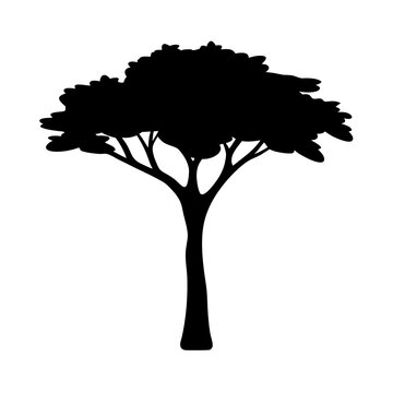 Silhouette of a tall tree with full green leaves - A clean black silhouette of a lush, broadleaf tree standing alone against a plain background, ideal for nature or botanical designs.