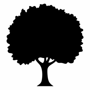 Black silhouette tree icon with thick trunk - Clean black silhouette of a full tree with a thick trunk and lush branches, perfect for nature, ecology, or minimalist design projects.