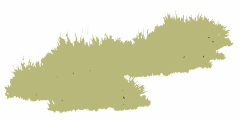 dynamic diagonal grass arrangement with flowing motion silhouette white background natural organic vegetation botanical plant greenery landscape ecology environment growth pattern © Sudhakar
