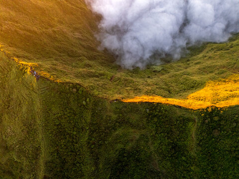 Aerial view of Gunung Bismo ridge with lush green slopes, vibrant yellow vegetation, and thick clouds rolling over the mountain peak in Kecamatan Kejajar, Jawa Tengah, Indonesia.