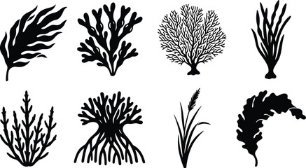 Underwater sea plants and coral silhouettes set featuring seaweed kelp reef flora and ocean vegetation on white background © MstRehna