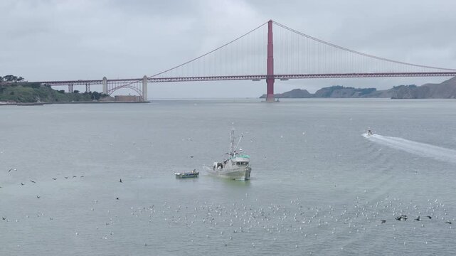 Commercial Fishing Boat In San Francisco Bay Near Golden Gate Bridge - Drone Shot