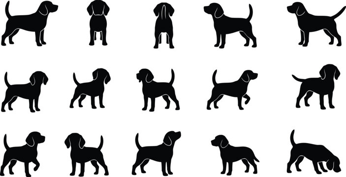 Set of beagle dog silhouettes standing and looking in different directions.