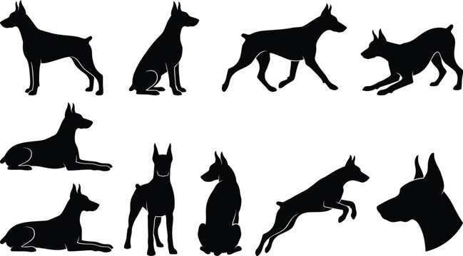 Eight black doberman pinscher dog silhouettes showcasing different static and dynamic poses on transparent background.