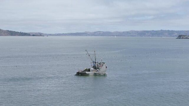 Fishing Vessel on San Francisco Bay With Seagulls Surrounding It - Cinematic, Circling, Aerial Shot