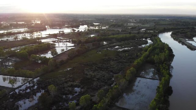 Aerial view of tropical river delta at sunset. Sunlight reflects in calm waters of river. Green forest and trees surround the watercourse at beautiful evening.