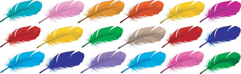 Colorful bird feathers collection, detailed vector illustration featuring exotic plumage in assorted shapes and bright natural colors, isolated for decorative and nature-themed designs. © dalim 