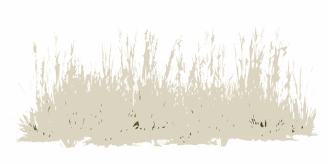 dry meadow grass silhouette on white background beige golden natural plant vegetation outdoor landscape seasonal autumn summer texture pattern vector graphic © Ramanath