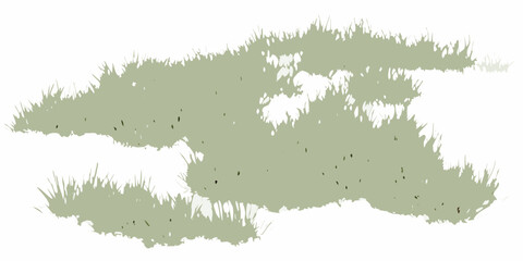 natural scattered grass clusters with varying density on white background vegetation botanical plant flora green transparent vector illustration pattern design graphic © Ramanath