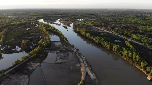 Aerial view of tropical river delta at sunset. Sunlight reflects in calm waters of river. Green forest and trees surround the watercourse at beautiful evening.
