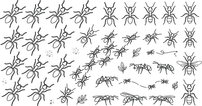 Ant and Insect Pest Control Line Art Icon Set Featuring Worker Ants, Flying Termites, Colony Trails, and Foliage for Exterminator Service Layouts