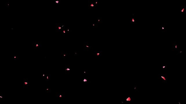 Butterfly Flying in Dark Night with Falling Pink Petals Close Up