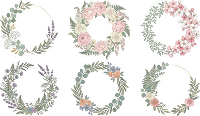 Elegant floral wreath collection featuring hand drawn garden flowers lavender roses eucalyptus leaves and botanical circular border frame vectors. © MST