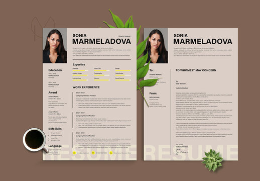 Resume Layout