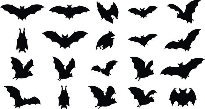 Twenty black bat silhouettes in various flying and hanging positions on a white background, for halloween themed projects