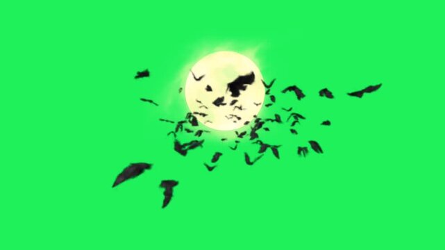 Animation black bat on green background.