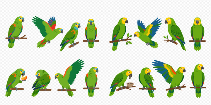 Collection of green parrots in various poses on branches, flying, and eating, isolated on a transparent background.