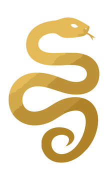 Minimalist gold silhouette of a coiled snake with an elegant raised head and smooth curved lines on a solid white background luxury animal design concept
