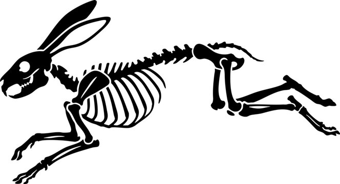 Black rabbit skeleton silhouette running on white background