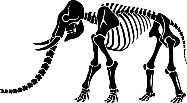 Black silhouette of elephant skeleton isolated on white background