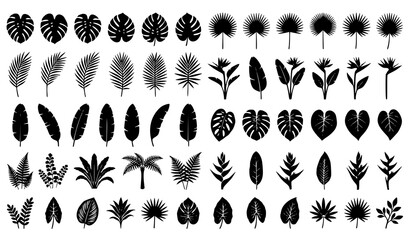 Tropical Palm Leaf Silhouette Collection With Exotic Botanical Vector Set © MD
