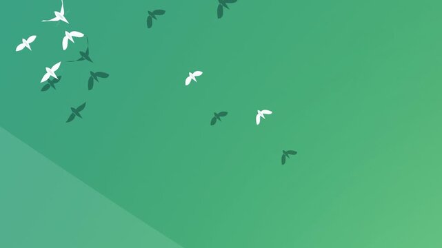 Animated white and dark silhouette Columbidae birds flying against a minimal green geometric background in a continuous loop