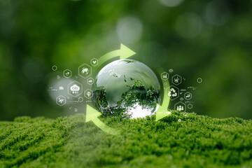 Glass globe in green forest with circular economy concept. renewable energy, resource efficiency, waste reduction, ESG strategy, SDGs, and sustainable environment green business innovation © Anon
