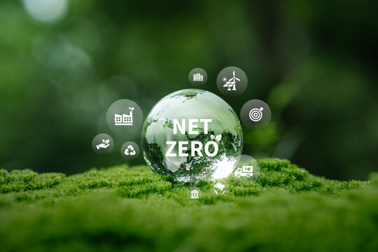 Glass globe in green forest with Net Zero carbon neutral concept for sustainability, environmental responsibility, CO2 emission reduction, renewable energy, ESG strategy to global 2050 goals