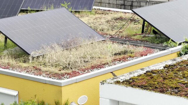 A blackbird is perched on the garage roof beneath the solar panel array; another blackbird hops over to it, while a sparrow lands on the edge of the garage., static shot