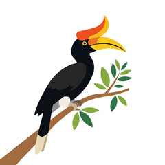 Fototapeta premium Hornbill Bird Perched on Tree Branch Vector Illustration