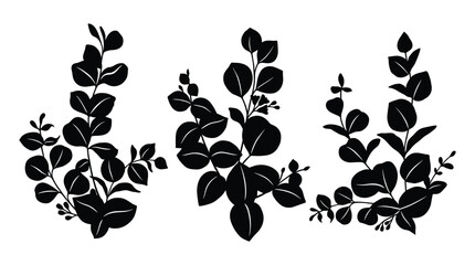 Set of black eucalyptus plant silhouettes isolated on transparent background for creative decoration. © MST DESIGN