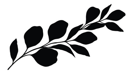 Single eucalyptus branch with leaves botanical illustration black silhouette vector graphic element. © MST DESIGN